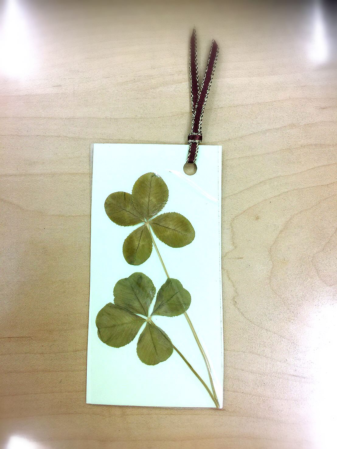 四つ葉のクローバー